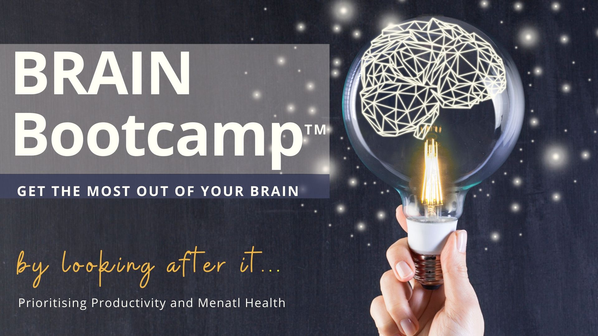 Brain Boost Bootcamp neuroscience workshop virtual