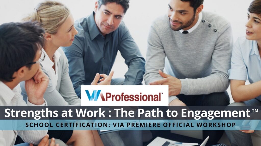 VIA Official Program certification