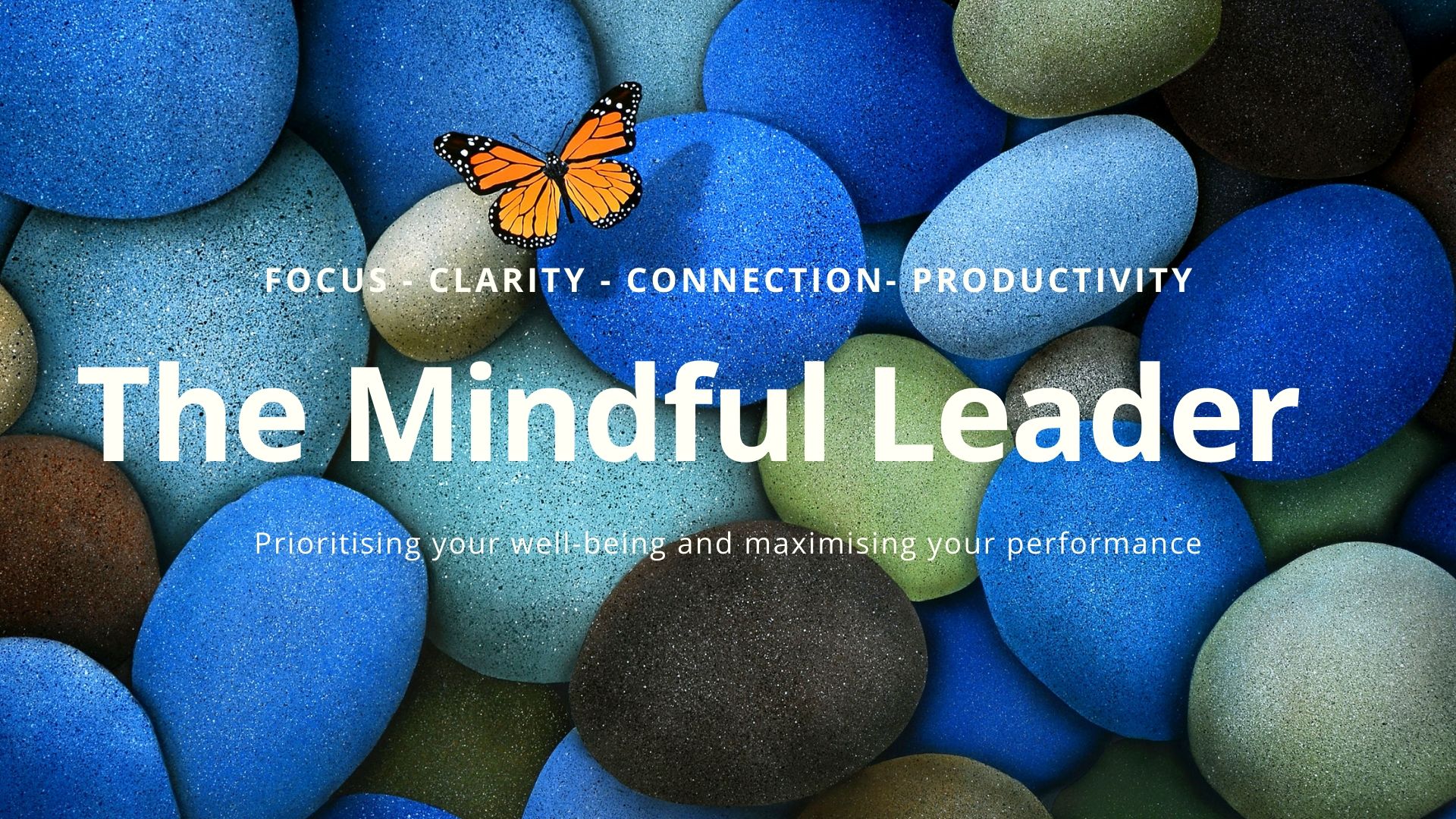 The Mindful Leader | Mindfuloness for Leaders | Mindfulness professional development for leaders