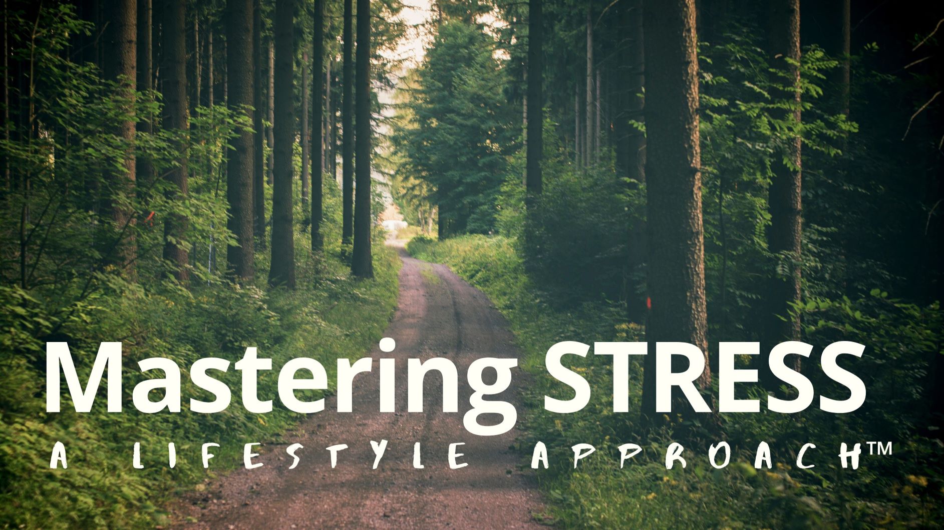 Mastering Stress Workshop for leaders and teams WunderTraining