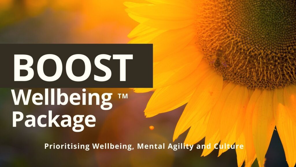 Boost wellbeing package. Wundertraining POwer Packages, Team building, Leadership, jane Wundersitz