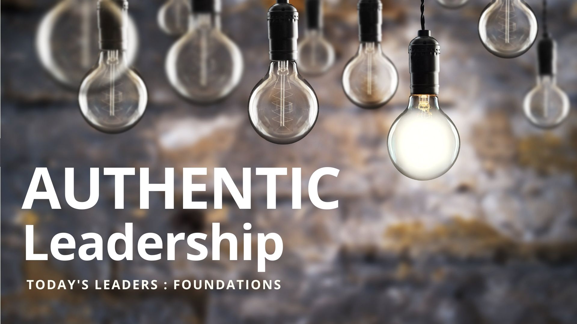 Authentic Leadership professional development workshopp foundation workshop