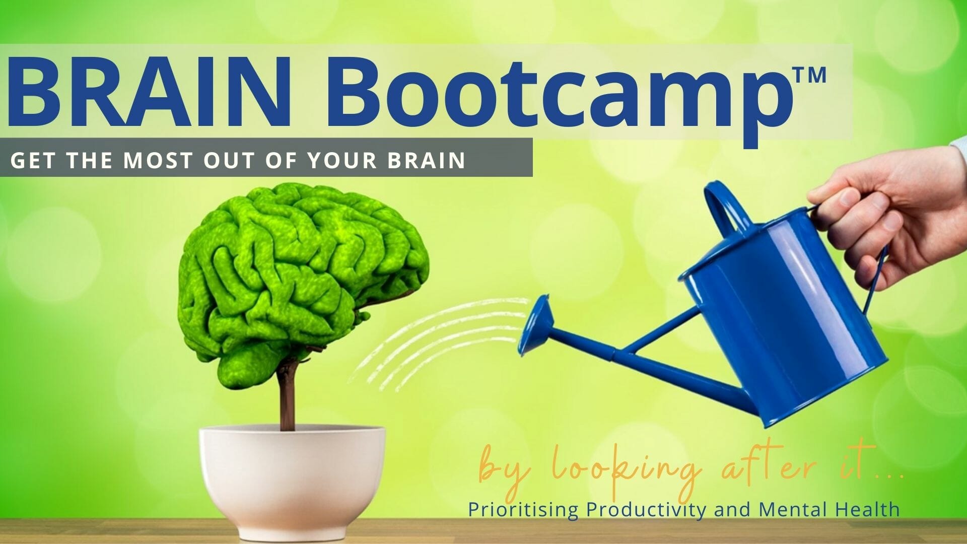 Brain bootcamp Virtual Training for the WorkPlace