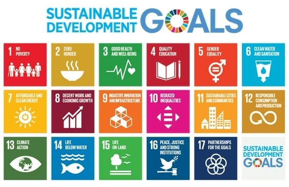 Sustainable development Goals Leadership Training