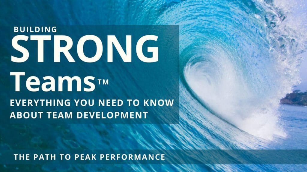 Building Strong teams Strengths based teambuilding for leadership teams