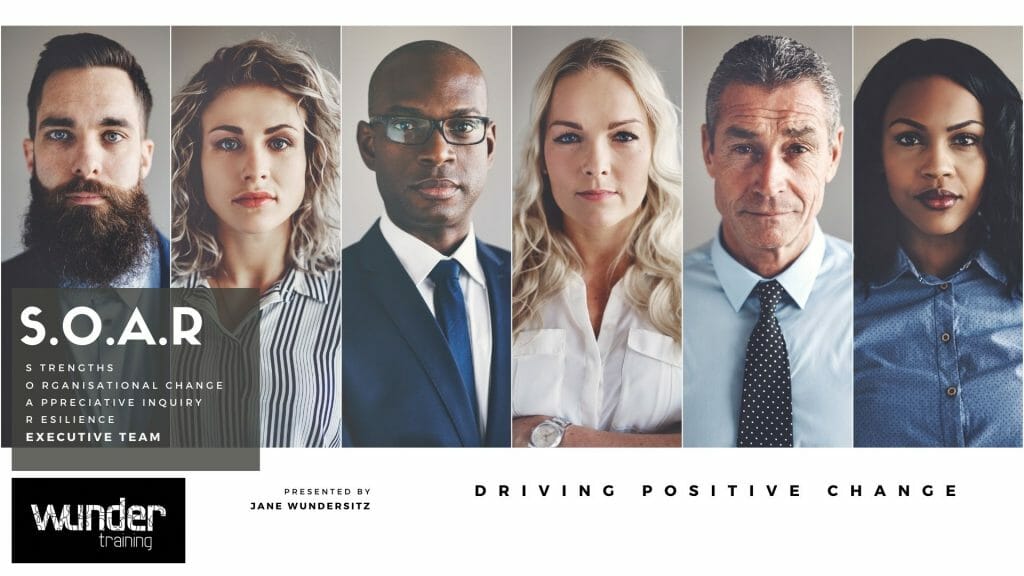 Driving Positive Change, 2-day retreat, Executive Team building change Management TrainingExecutive wellbeing Retreat | Executive Team building, WunderTraining, Jane Wundersitz