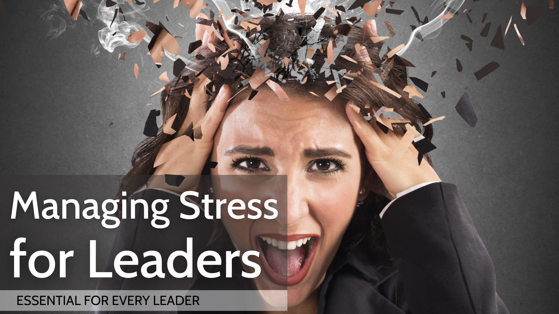 Managing stress for leaders, executive training, leadership training, Mastering stress for leaders, Harnessing stress, Leadership training, Executive and senior leadership program.