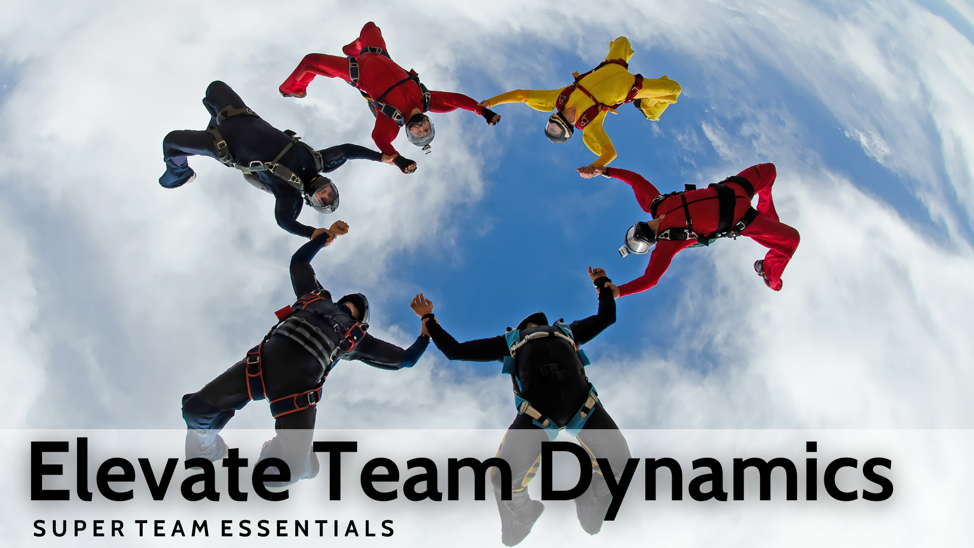 Elevate Team Dynamics. Leadership training program. Executive teambuilding