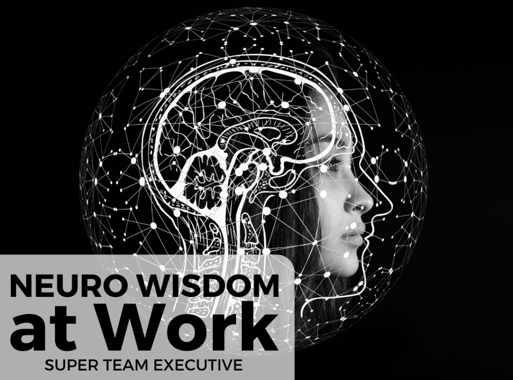 Neuro Wisdom at work. Neuroplasticity, Mindfulness, Emotional Intelligence, Cognitive Agility, Neurofeedback, Brain-based Learning, Resilience, Growth Mindset, Stress Management, Positive Psychology, Empathy, Decision Making,