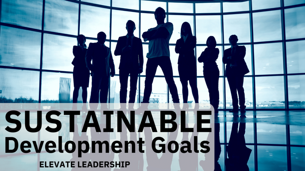 Sustainable Development Goals, Emerging leadership, best ever leadership program, Team building, leadership training, Wundertraining, Jane Wundersitz, elevate leadership
