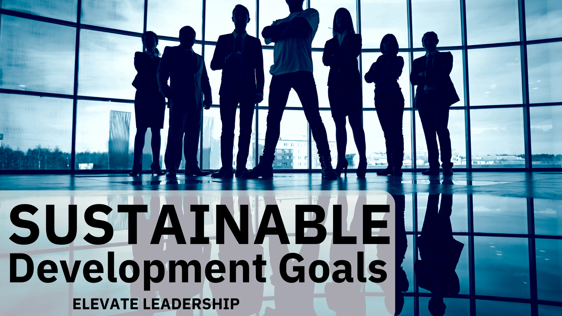 Sustainable Development Goals, Emerging leadership, best ever leadership program, Team building, leadership training, Wundertraining, Jane Wundersitz, elevate leadership