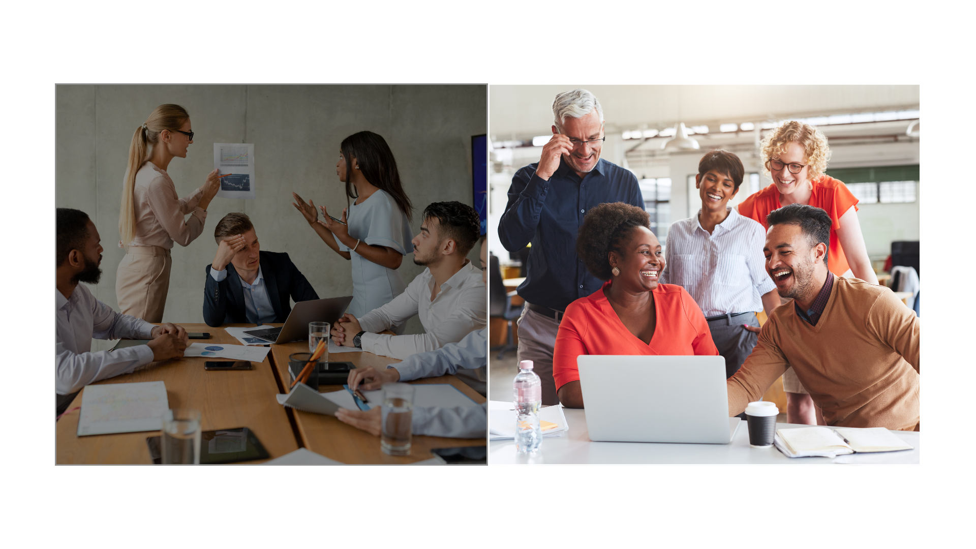 effective team building, team dysfunction, high performing teams, strengths-based leadership, wundertraining, Jane wundersitz