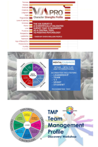 team building that works, psychometric team development, corporate training tools, strengths-based teams