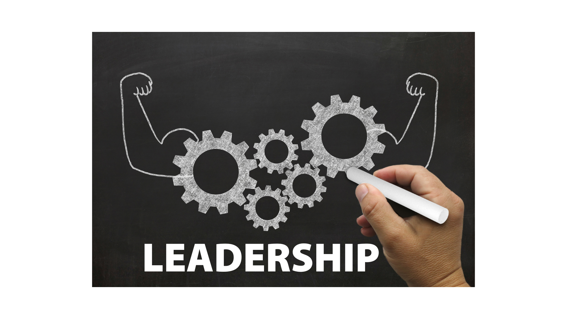 Strengths-Based Leadership What Top Teams Do Differently