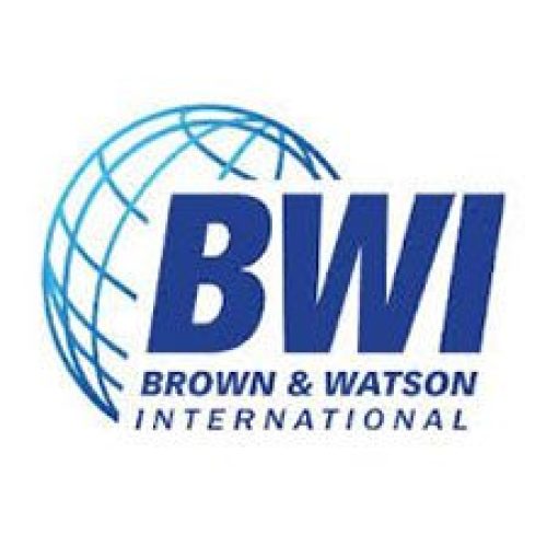 BWI-International